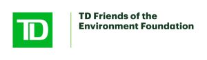 td-fef-logo-personnalisé